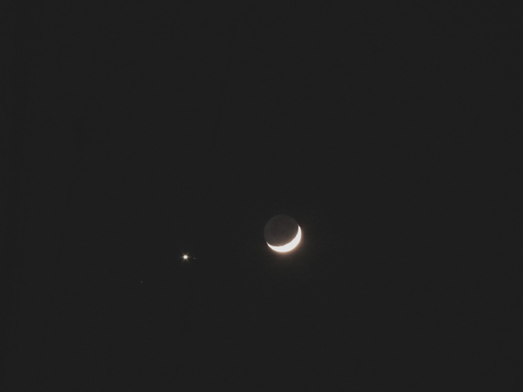 tuki & venus